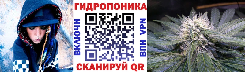 Названия наркотиков Тула Псилоцибиновые грибы  ГАШИШ  Канабис  СК 