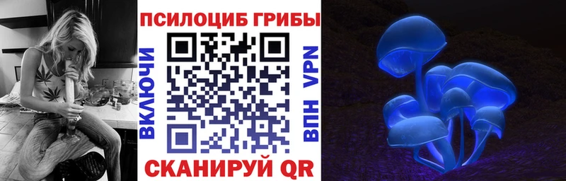 Галлюциногенные грибы Cubensis  Тула 